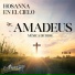 Grupo Musical Amadeus