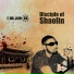 Shaolin DS