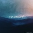 Midnight Coast