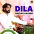 Qaisar Hashmi