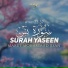 Maruf Mohammad Jisan