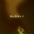 JackzBeats, Rudxbwooy, Adison, Żółw