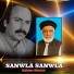 Akhtar Chishti