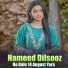 Hameed Dilsooz