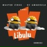 Master Virus feat. dj Amaroula