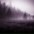 nearlyfog, hønda