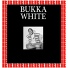 Bukka White feat. Washboard Sam
