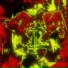 Destrucct