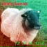 Betty Summt