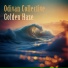 Odivan Collective
