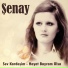 Senay
