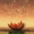 Heavenly Realms