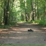 Sematary