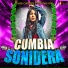 Cumbia Sonidera, Cumbias Poblanas