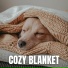 The Sleepy Sounds