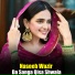 Naseeb Wazir