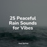 Ambient Arena, Pet Care Music Therapy, Deep Sleep