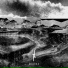 Terrestre