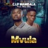 C.I.P Mambala feat. Mos Blu