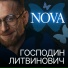 Господин Литвинович