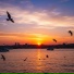 Evren Sel