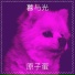 原子蛋