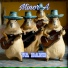 VA Band