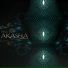 Akasha Experience