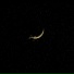 Matvey Sagittarius