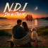 N.D.I