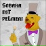 SOBAKA EST PELMENI