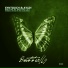 Ruben de Ronde & Elevven