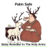 Palm Safe