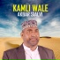 Akbar Sialvi