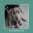 Dog Chill Out Music