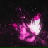 PXNTEXN