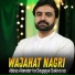 Wajahat Nagri