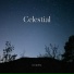 CAD3N