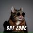 Music For Cats