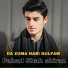 Fahad Shah shiraz