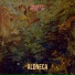 Aloneca