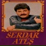 Serdar Ateş