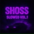 SHOSS, ザ-シード, IZODOPA1