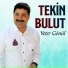 Tekin Bulut