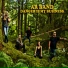 AR Band
