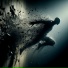 See Pro feat. Murat Karaytu
