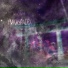 ymkaspacex