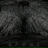 Afone