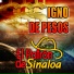 El Patron De Sinaloa