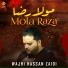 Wajhi Hassan Zaidi